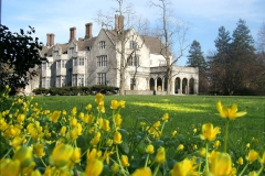 4-14-05-Coe-Daffodils-Low-Res