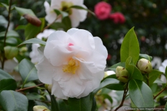 feb 058