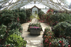 3-16-05-Camellia-House-from-stairs