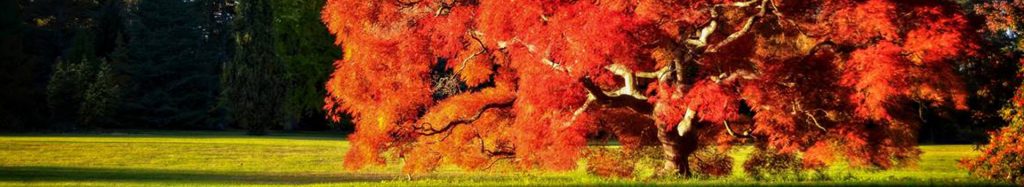 Planting Fields Foundation