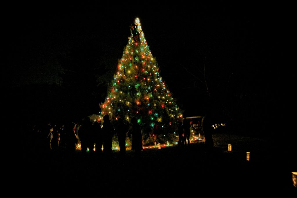 Planting Fields Foundation