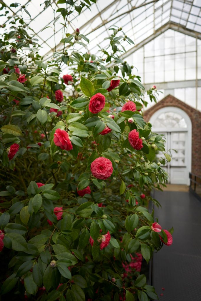 Planting Fields Foundation