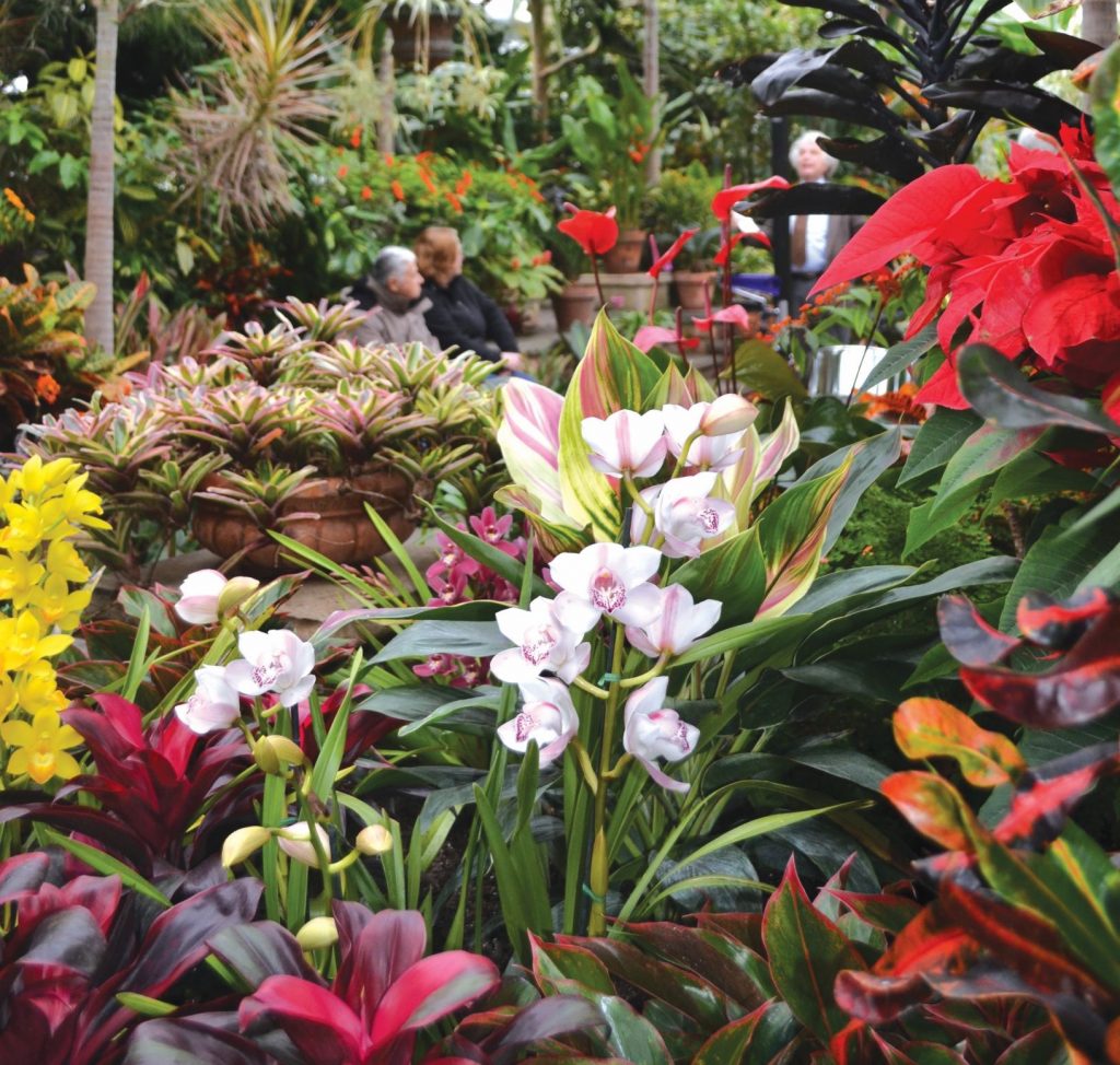 Planting Fields Foundation