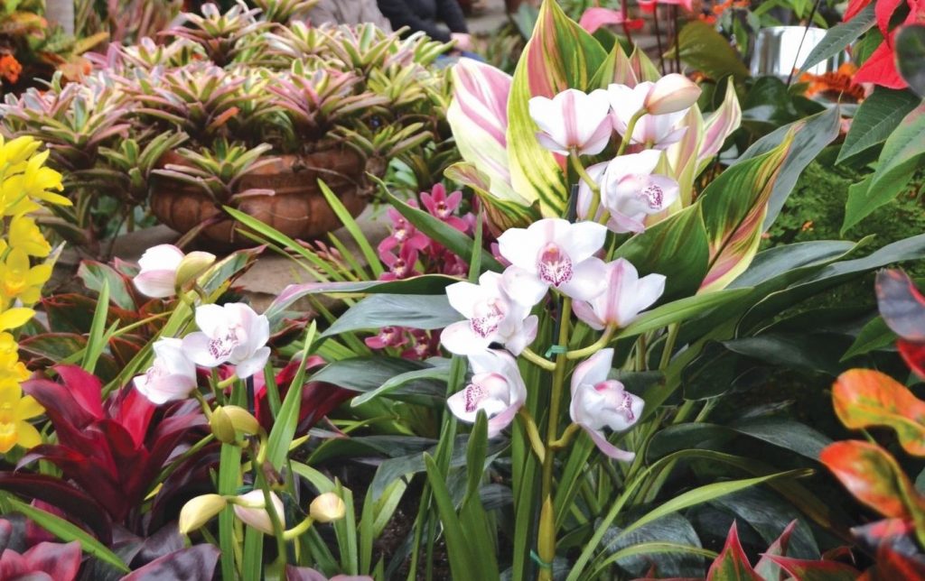 Planting Fields Foundation