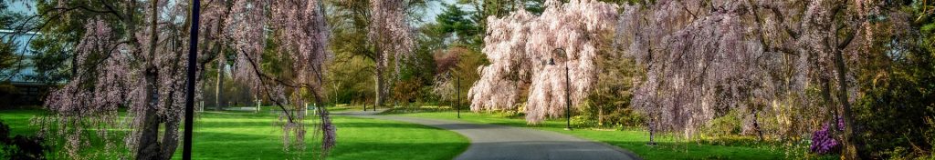 Planting Fields Foundation