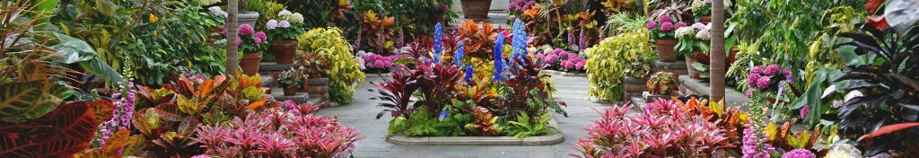 Planting Fields Foundation