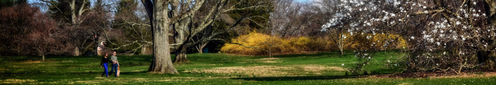 Planting Fields Foundation