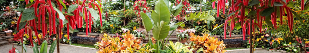 Planting Fields Foundation