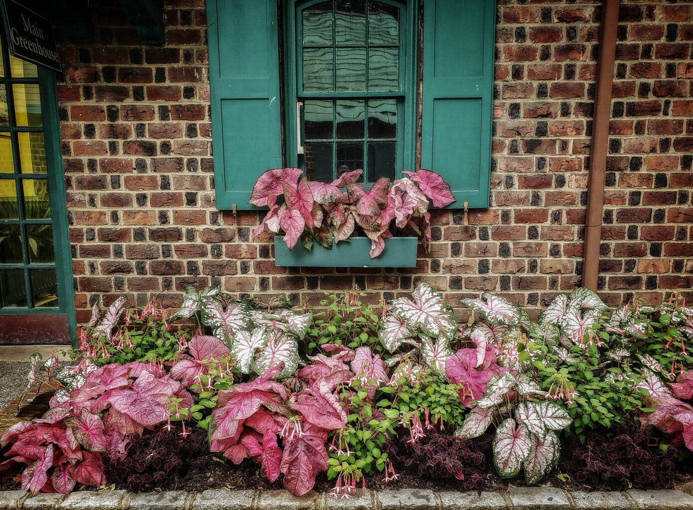 Planting Fields Foundation