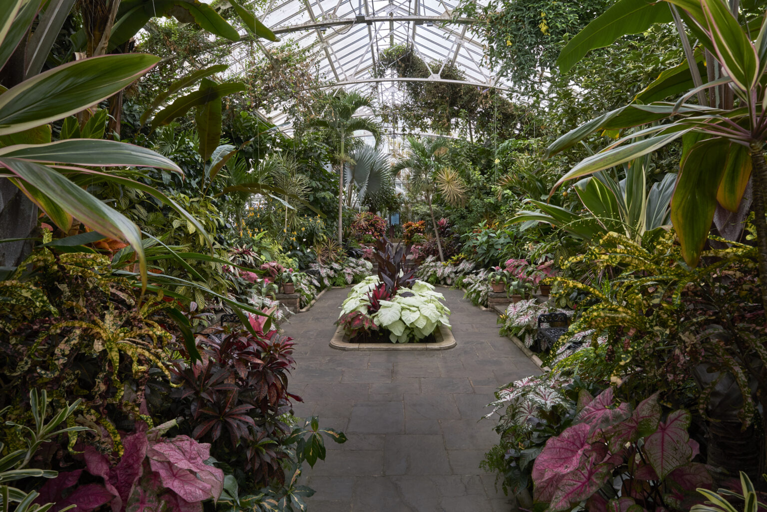 Planting Fields Foundation