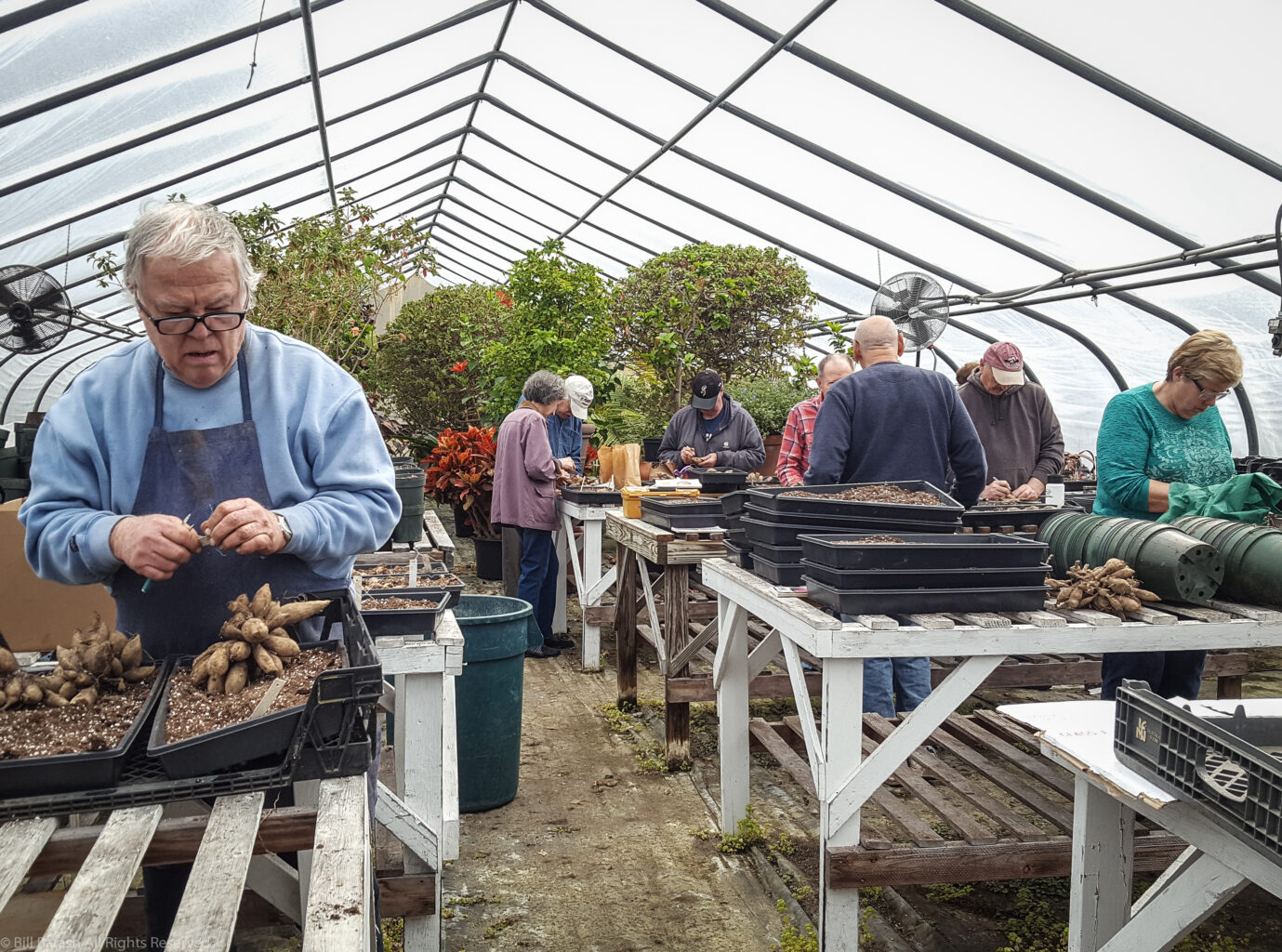 Planting Fields Foundation