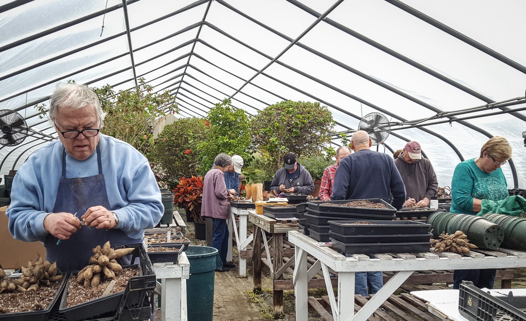 Planting Fields Foundation