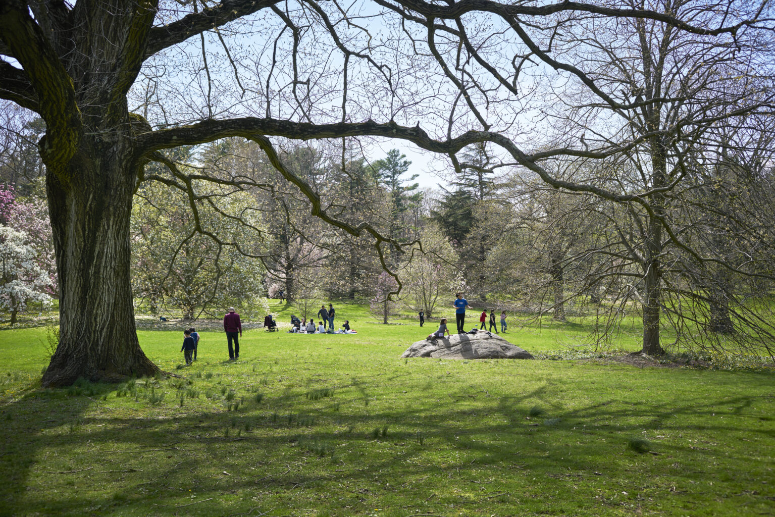 Planting Fields Foundation