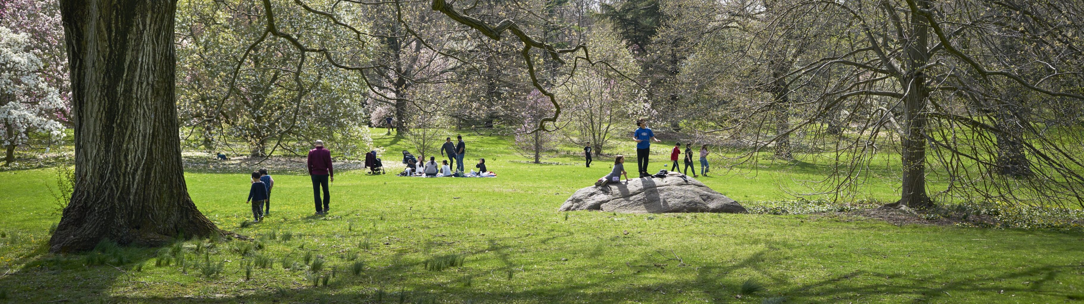 Planting Fields Foundation