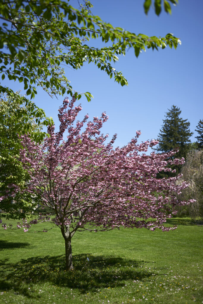 Planting Fields Foundation