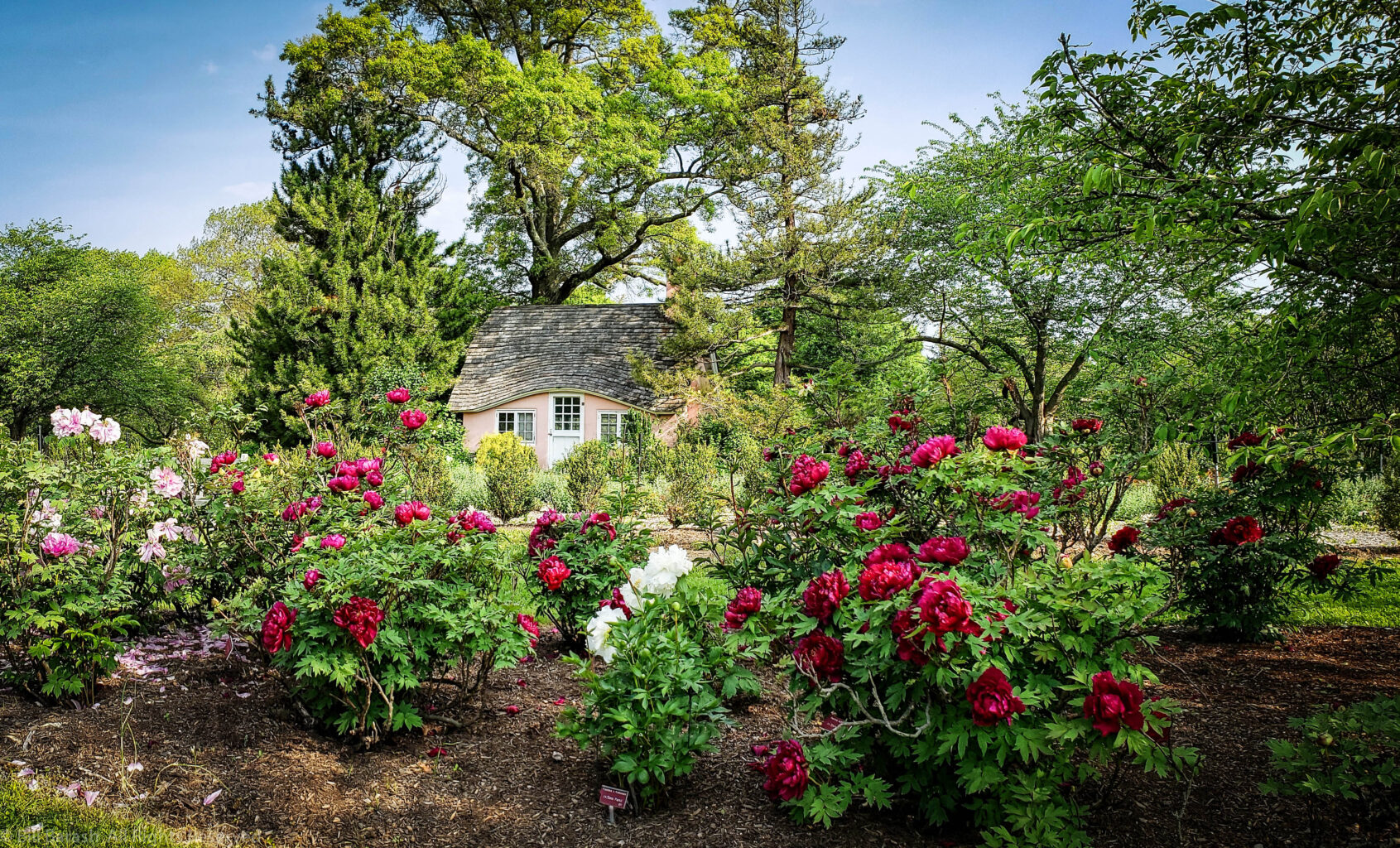 Planting Fields Foundation