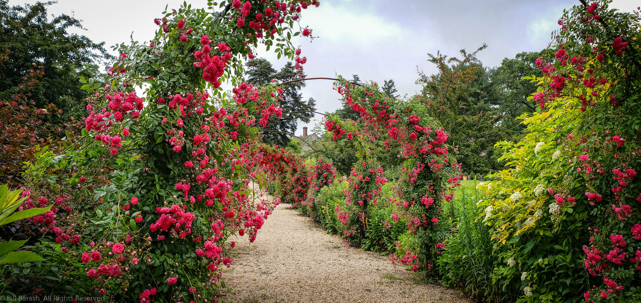 Planting Fields Foundation