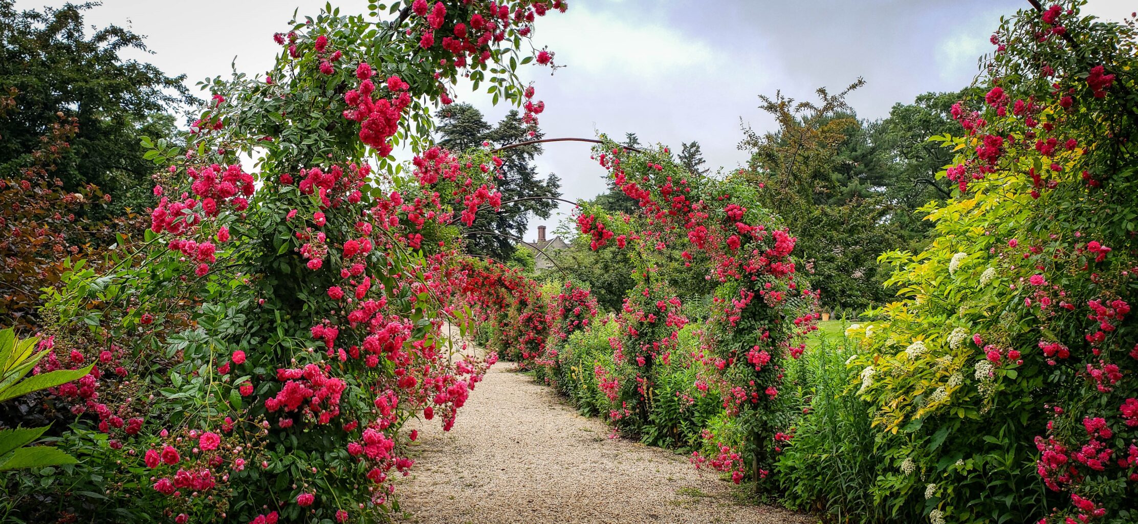 Planting Fields Foundation