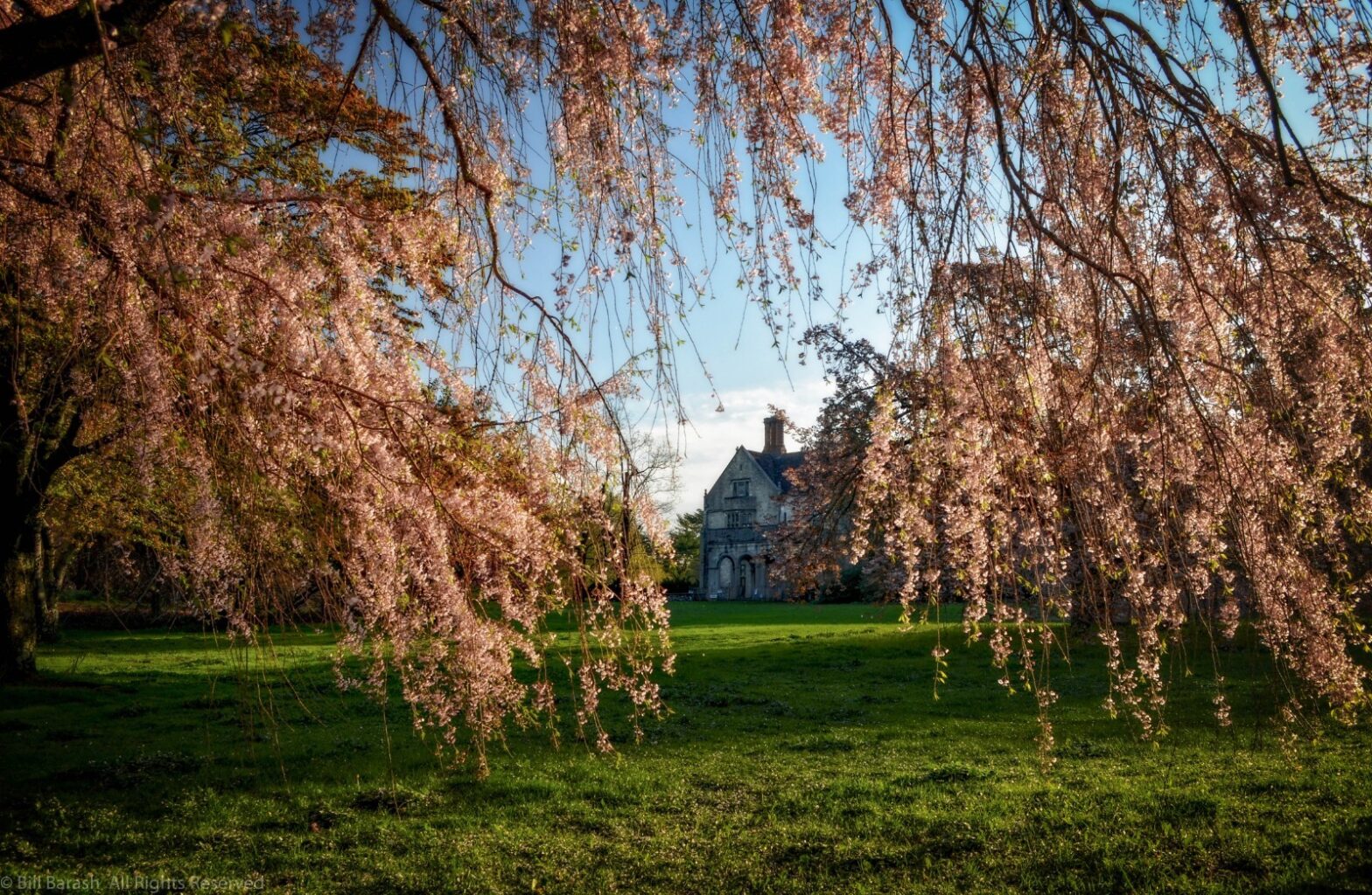 Planting Fields Foundation