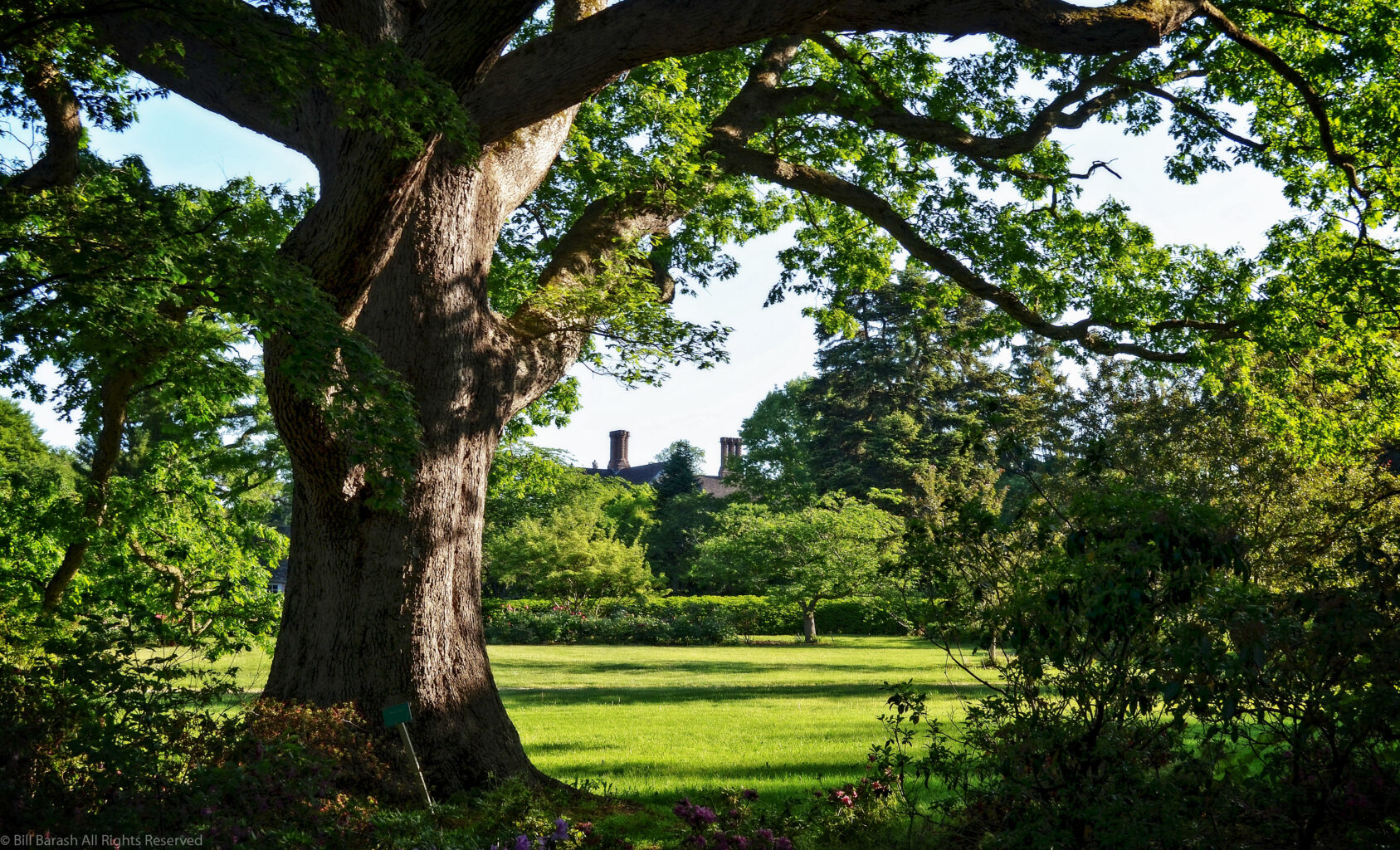 Planting Fields Foundation
