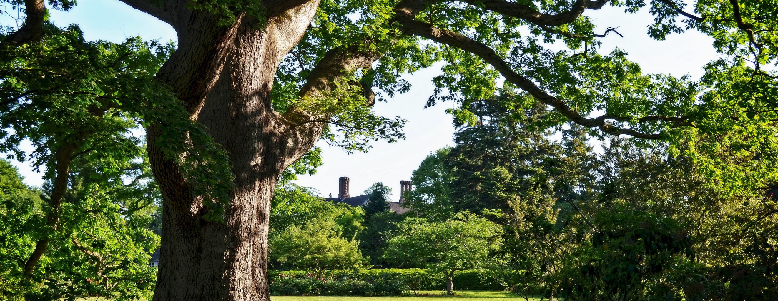 Planting Fields Foundation