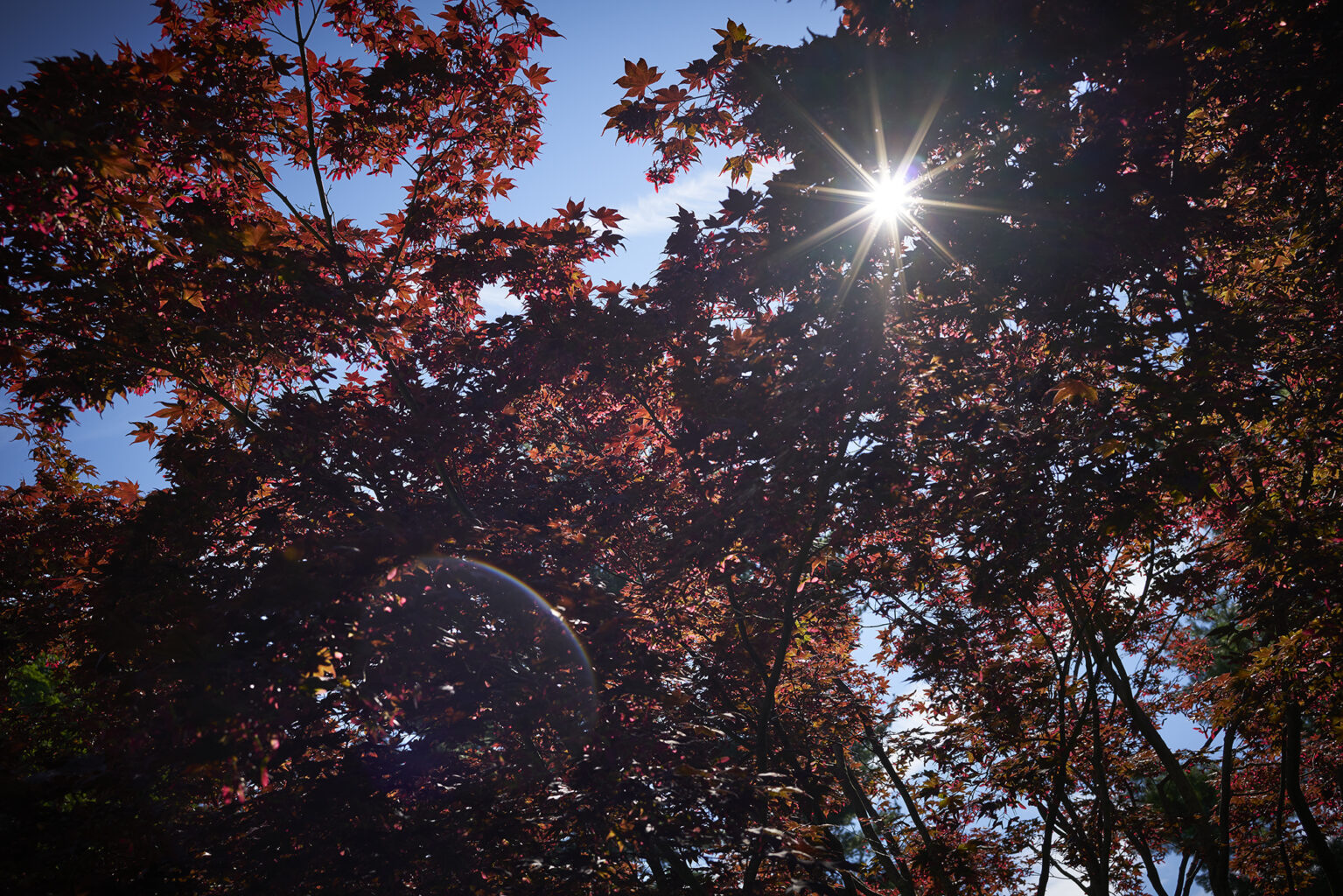 Planting Fields Foundation