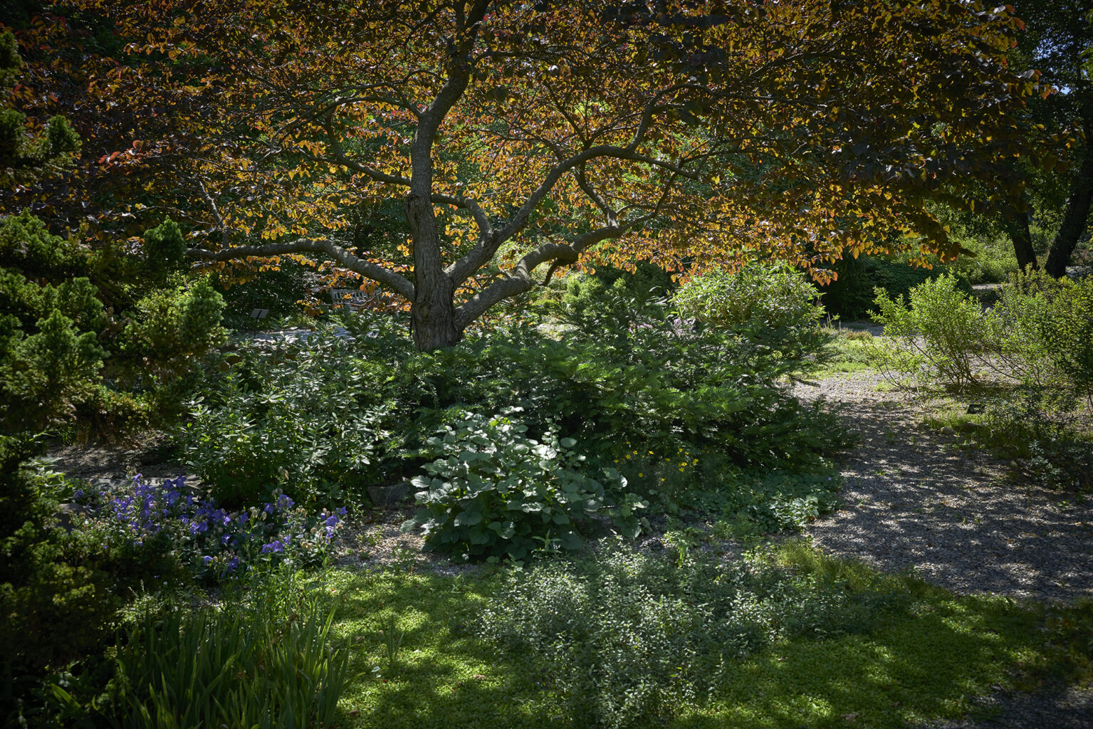 Planting Fields Foundation