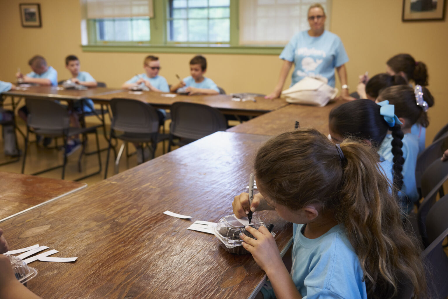 Planting Fields Foundation