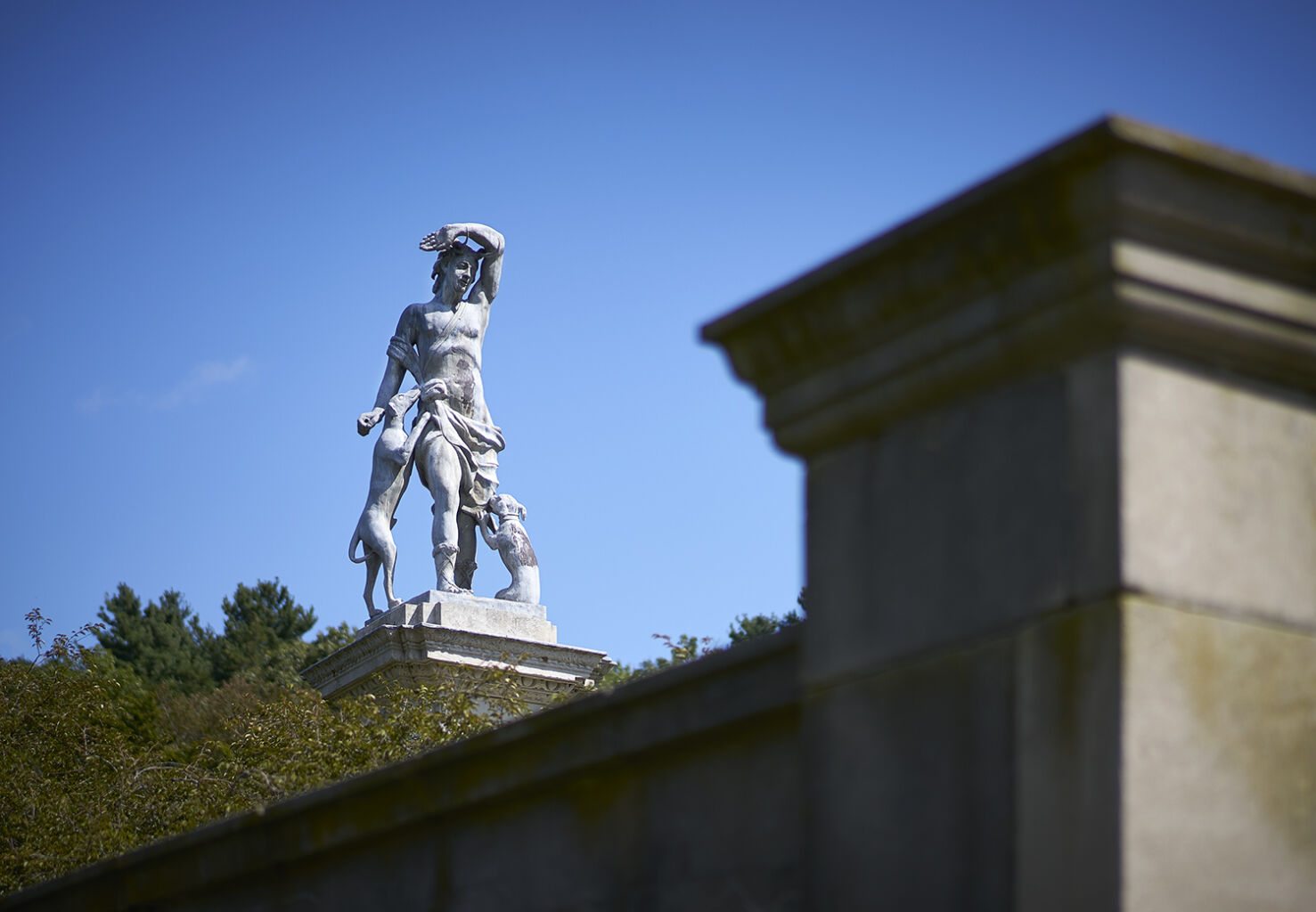 Planting Fields Foundation