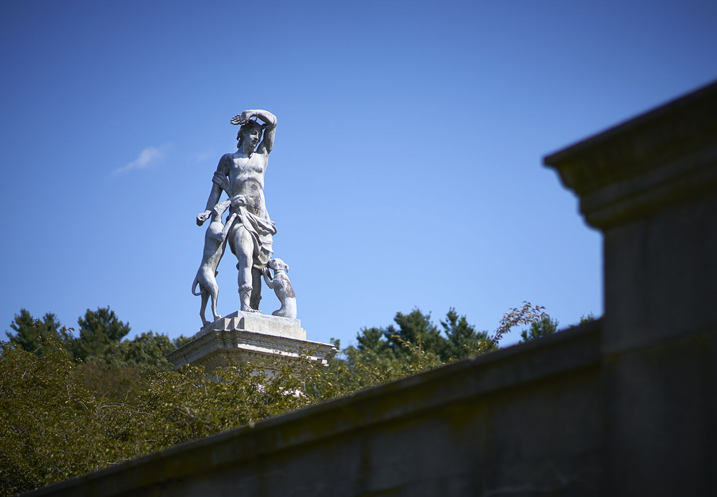 Planting Fields Foundation