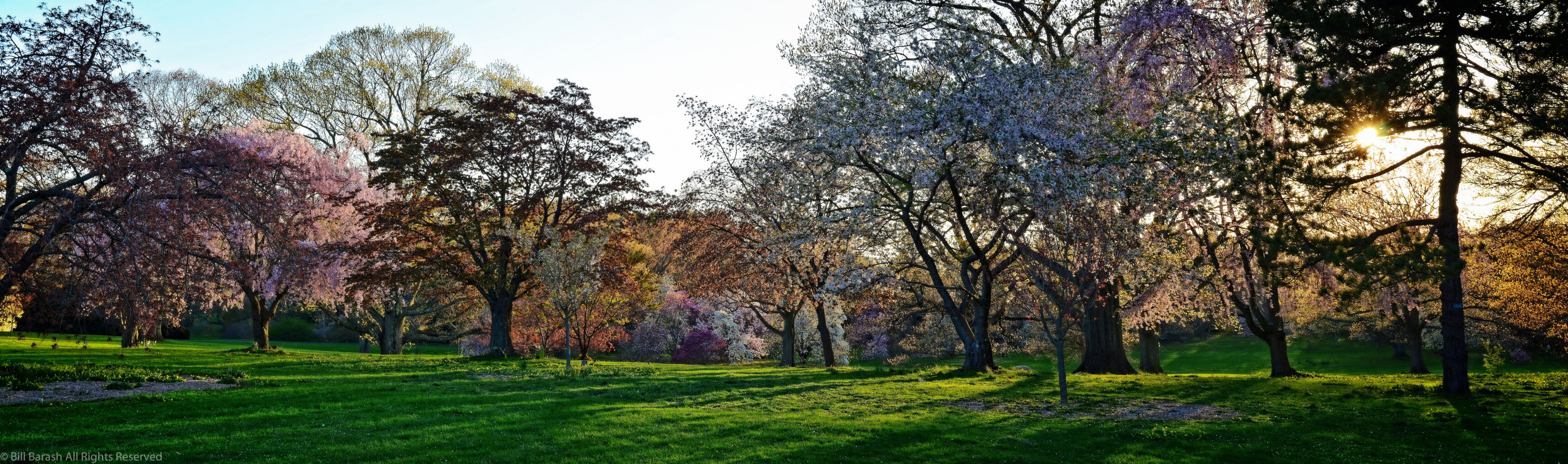 Planting Fields Foundation