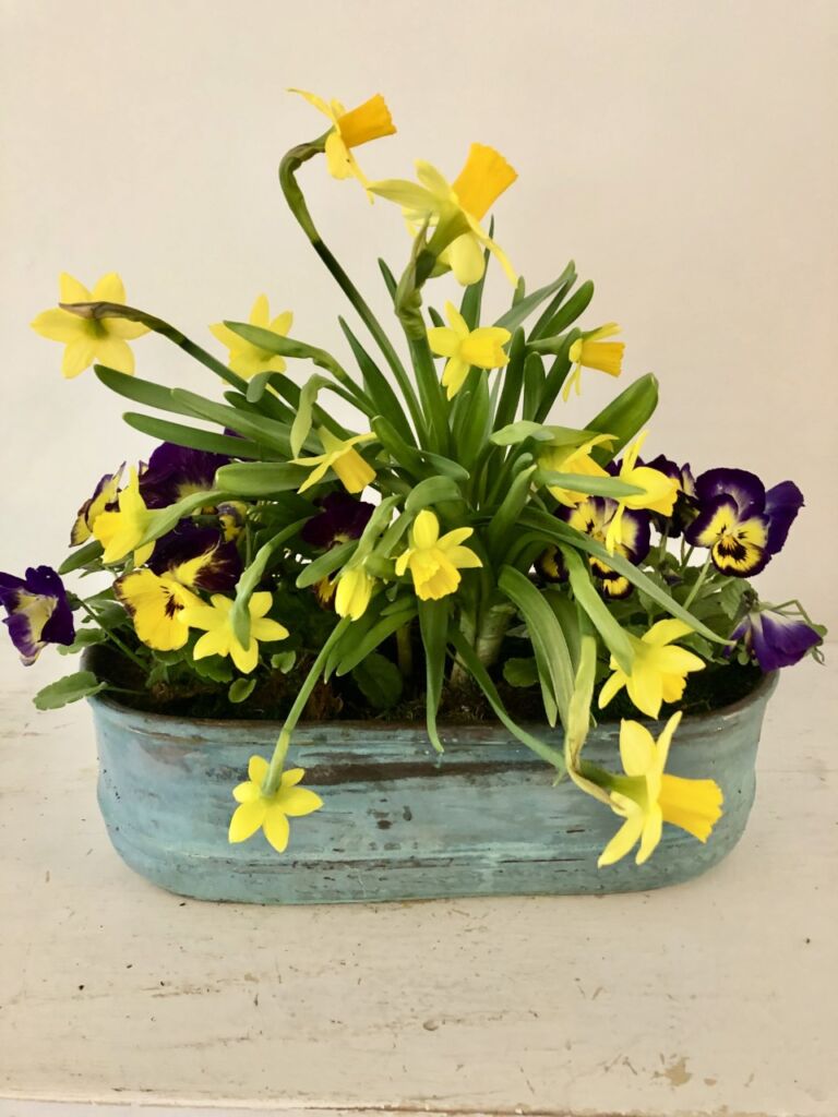 Planting Fields Foundation