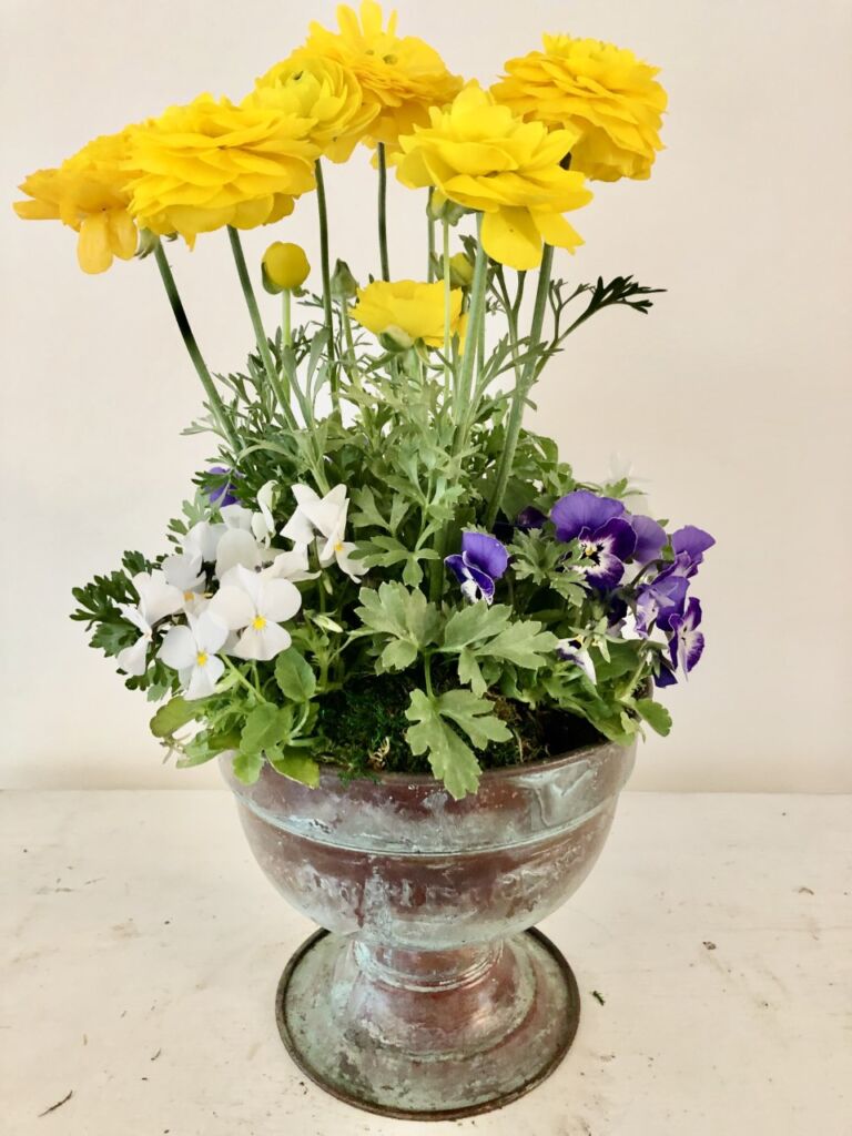 Planting Fields Foundation