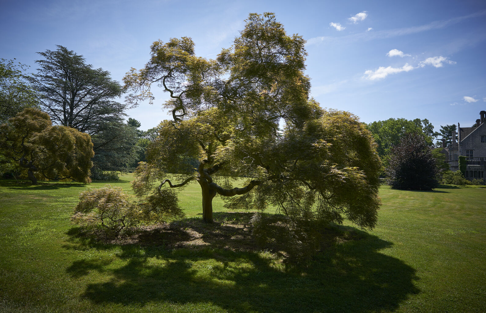 Planting Fields Foundation