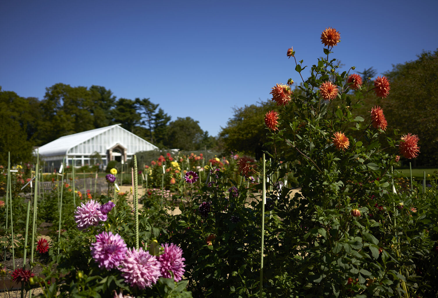 Planting Fields Foundation