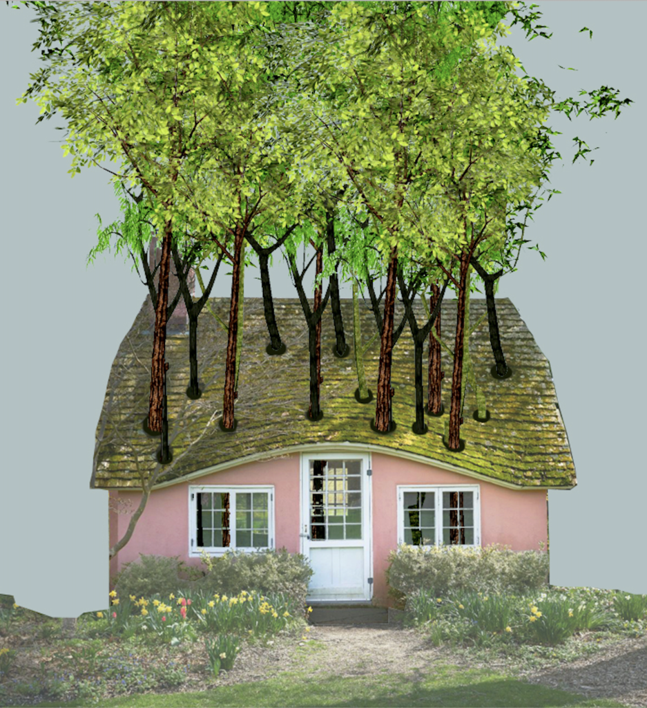 Planting Fields Foundation