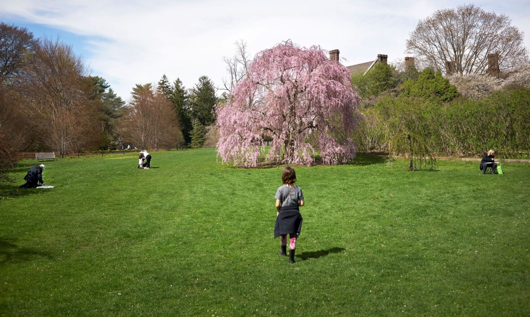 Planting Fields Foundation