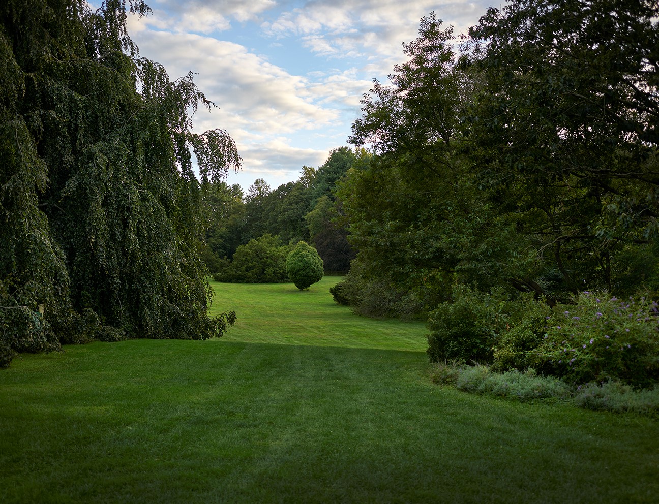 History and Mission Planting Fields Foundation