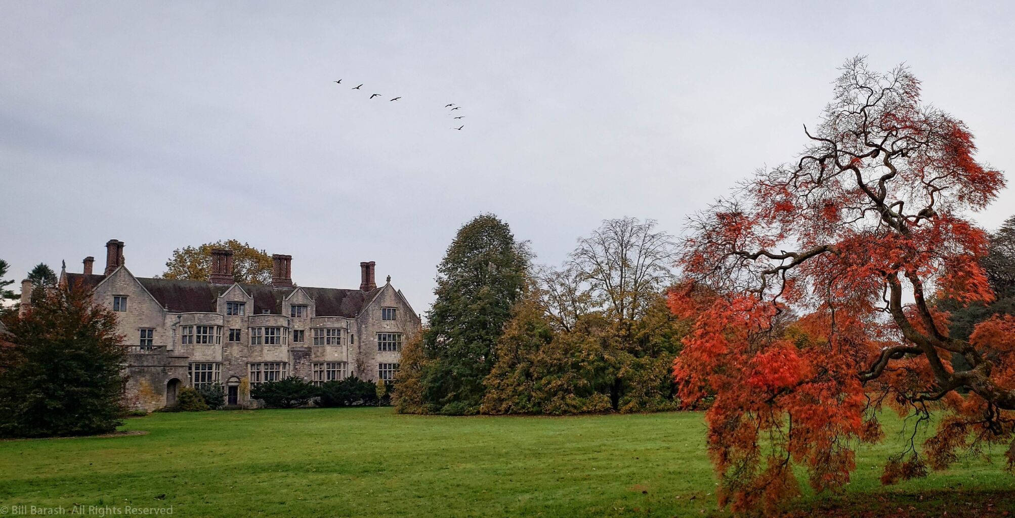 Planting Fields Foundation