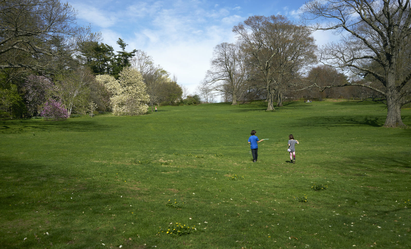 Planting Fields Foundation