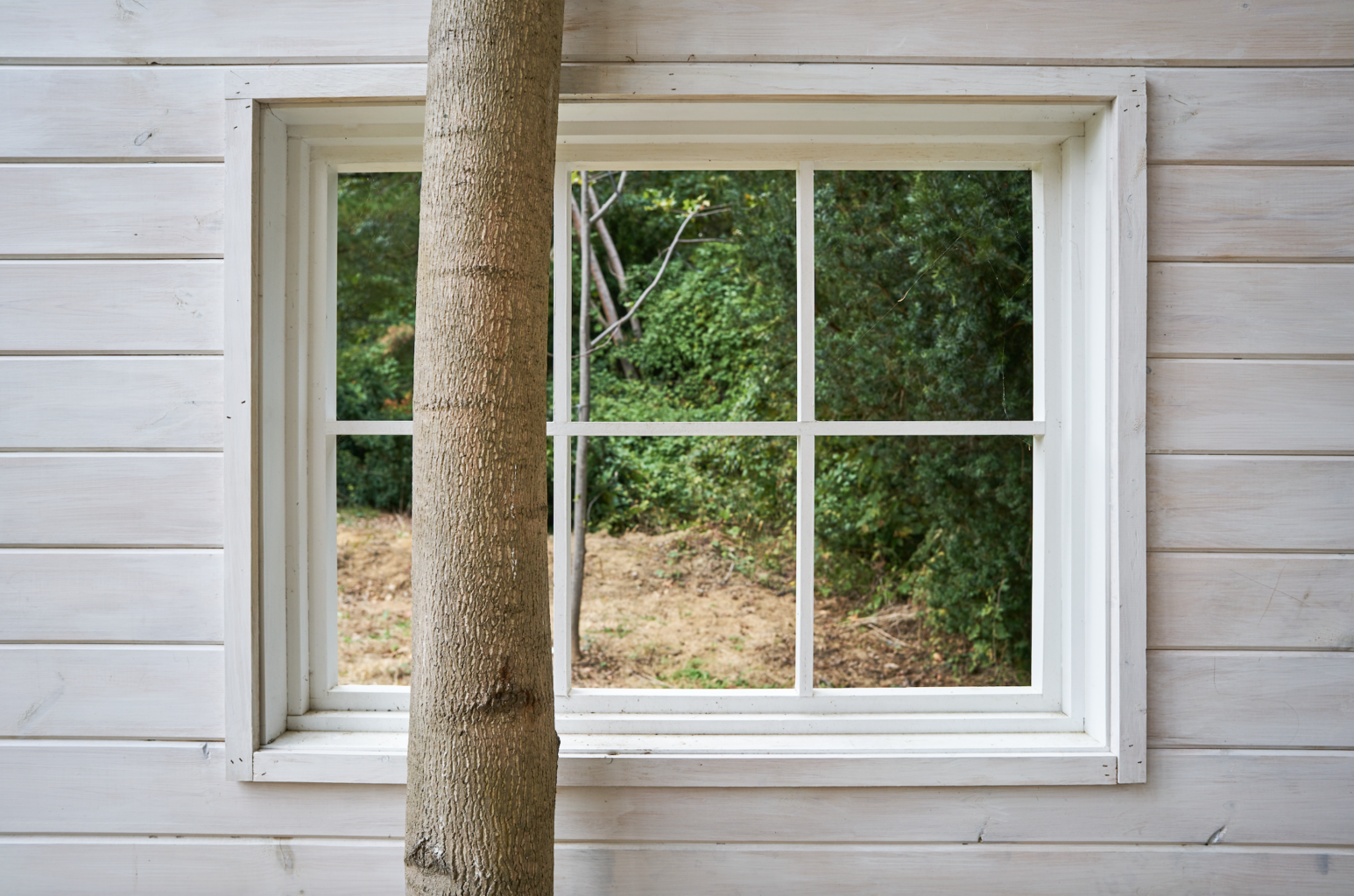 Planting Fields Foundation