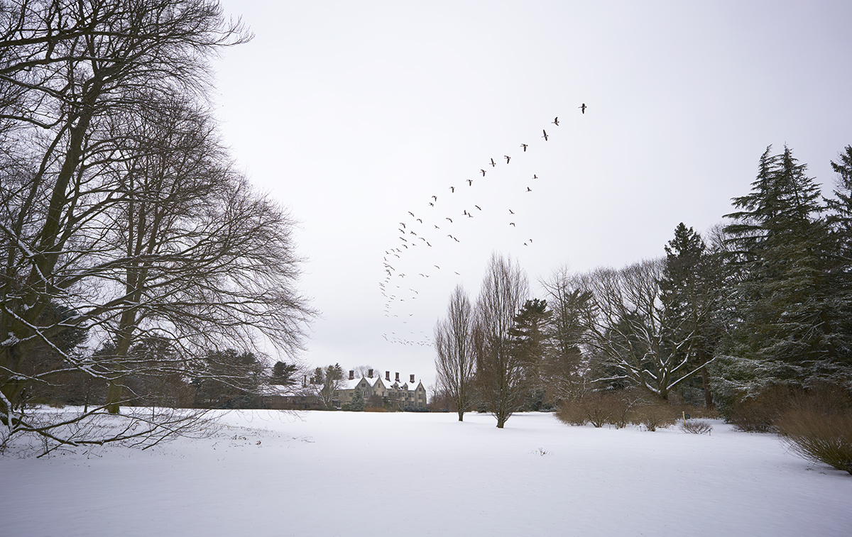 Planting Fields Foundation