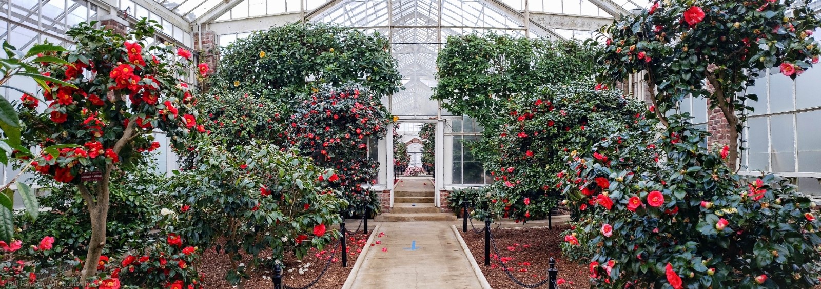 Planting Fields Foundation