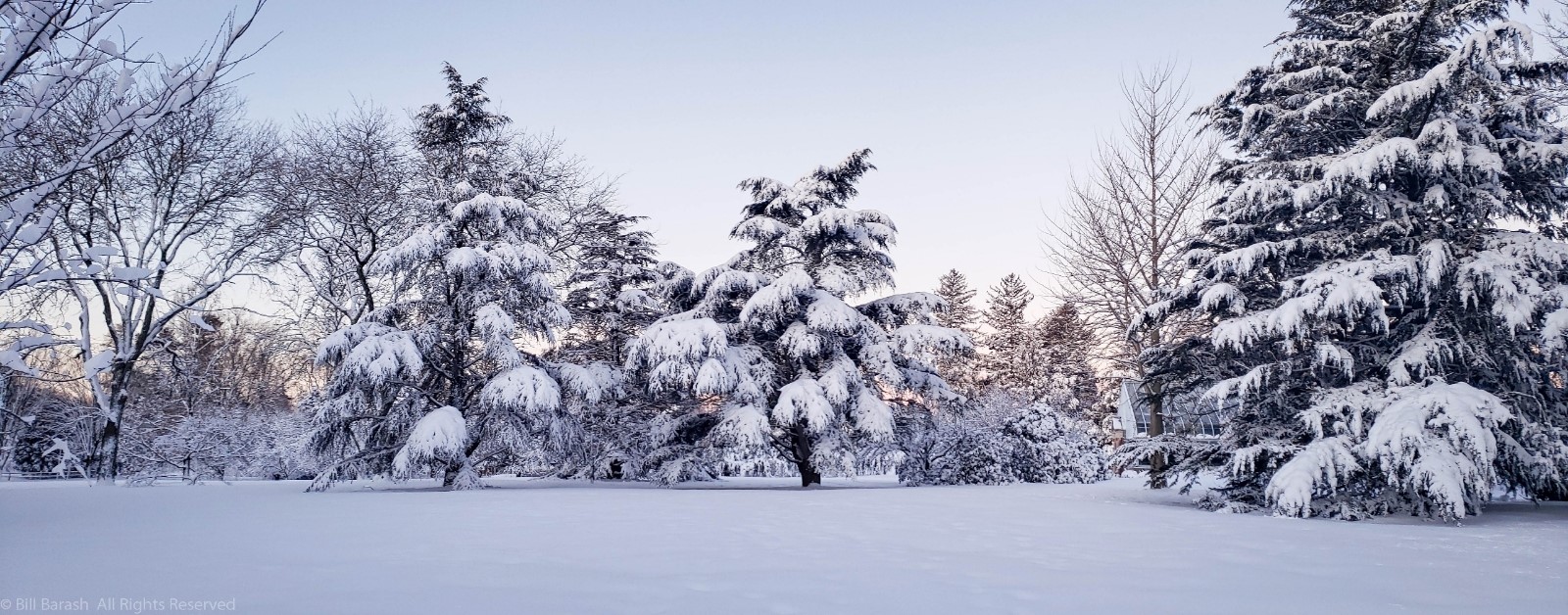 Planting Fields Foundation
