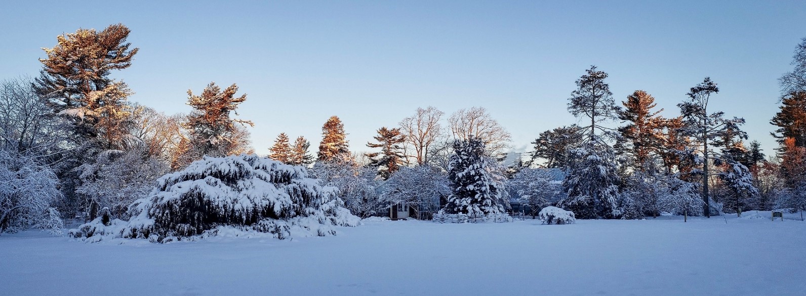 Planting Fields Foundation