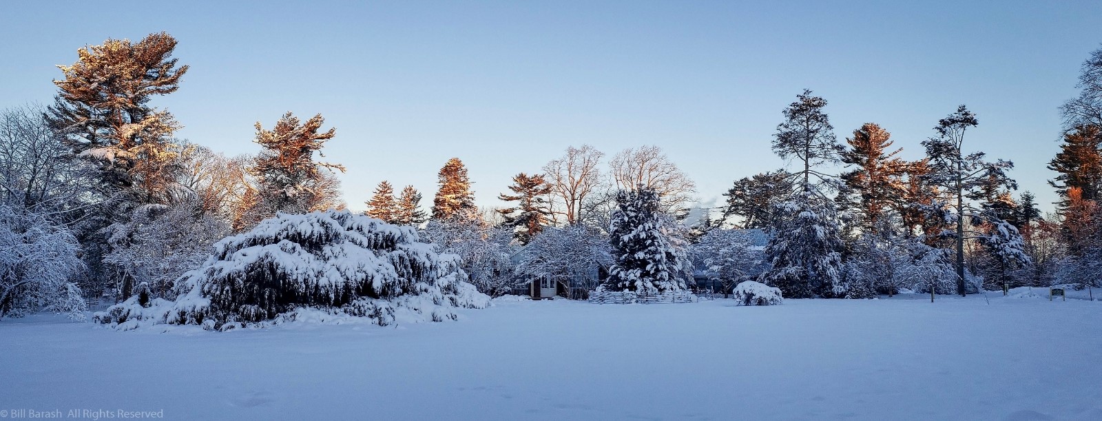 Planting Fields Foundation