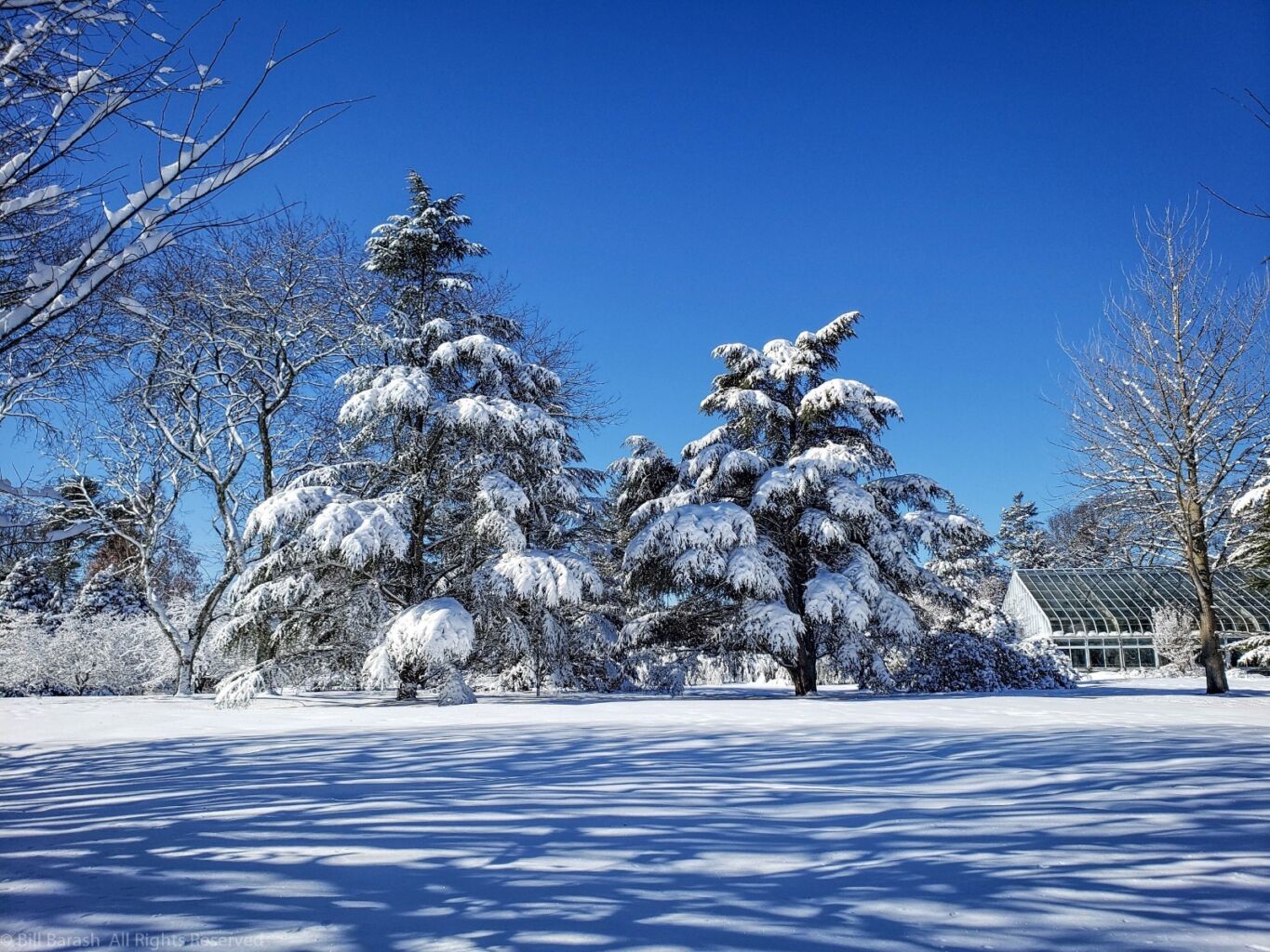 Planting Fields Foundation