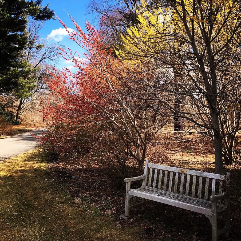 Planting Fields Foundation