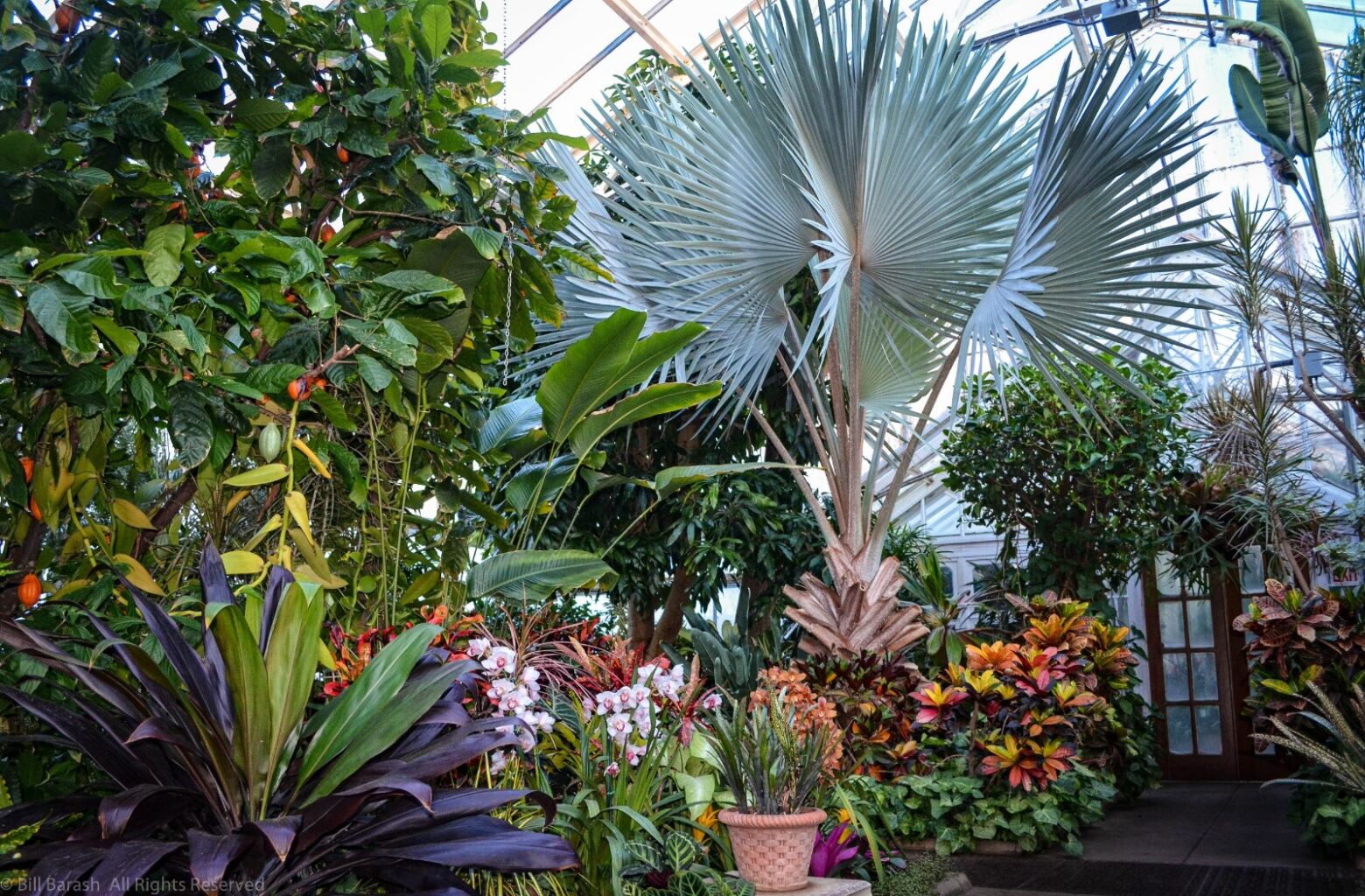 Planting Fields Foundation