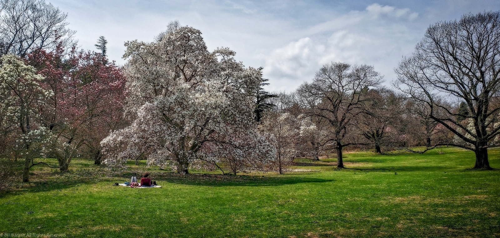 Planting Fields Foundation